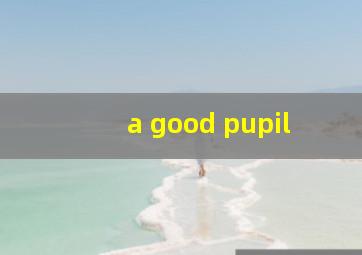 a good pupil